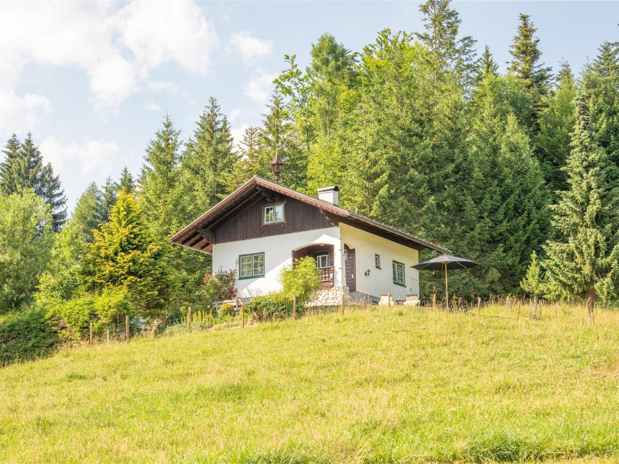 Alpenchalet - Rehkogl 46 Bad Goisern am Hallstättersee Exterior foto